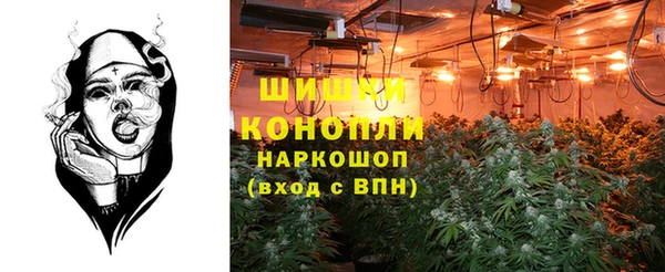 соль ск Михайловск