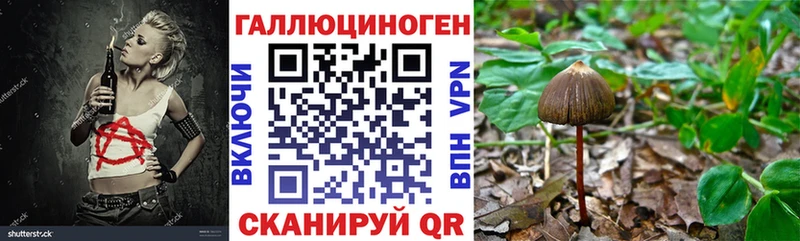 где купить наркотик  Покровск  Галлюциногенные грибы прущие грибы 